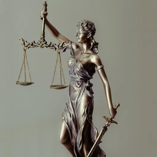 FJS Lawyers